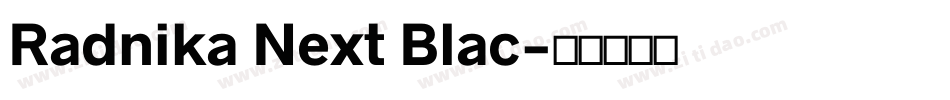 Radnika Next Blac字体转换